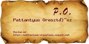 Pattantyus Oresztész névjegykártya